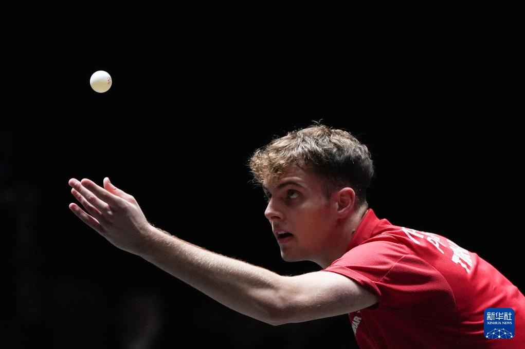 将提出了提 将提出了提